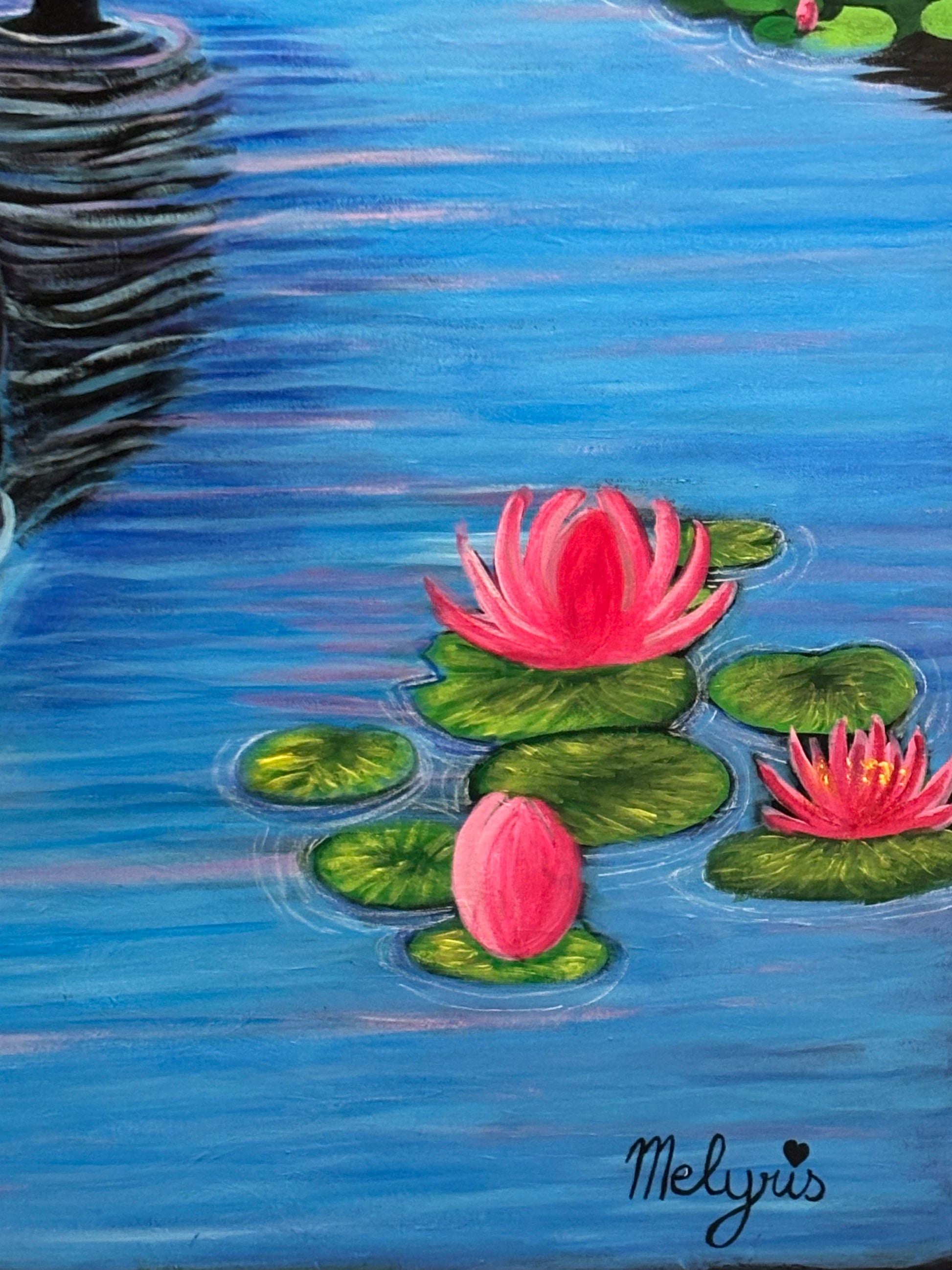 Le chat du lotus
